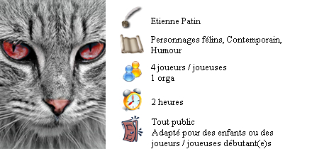 L'heure de jouer à chat